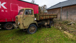 20250208-Lewiszong-00534